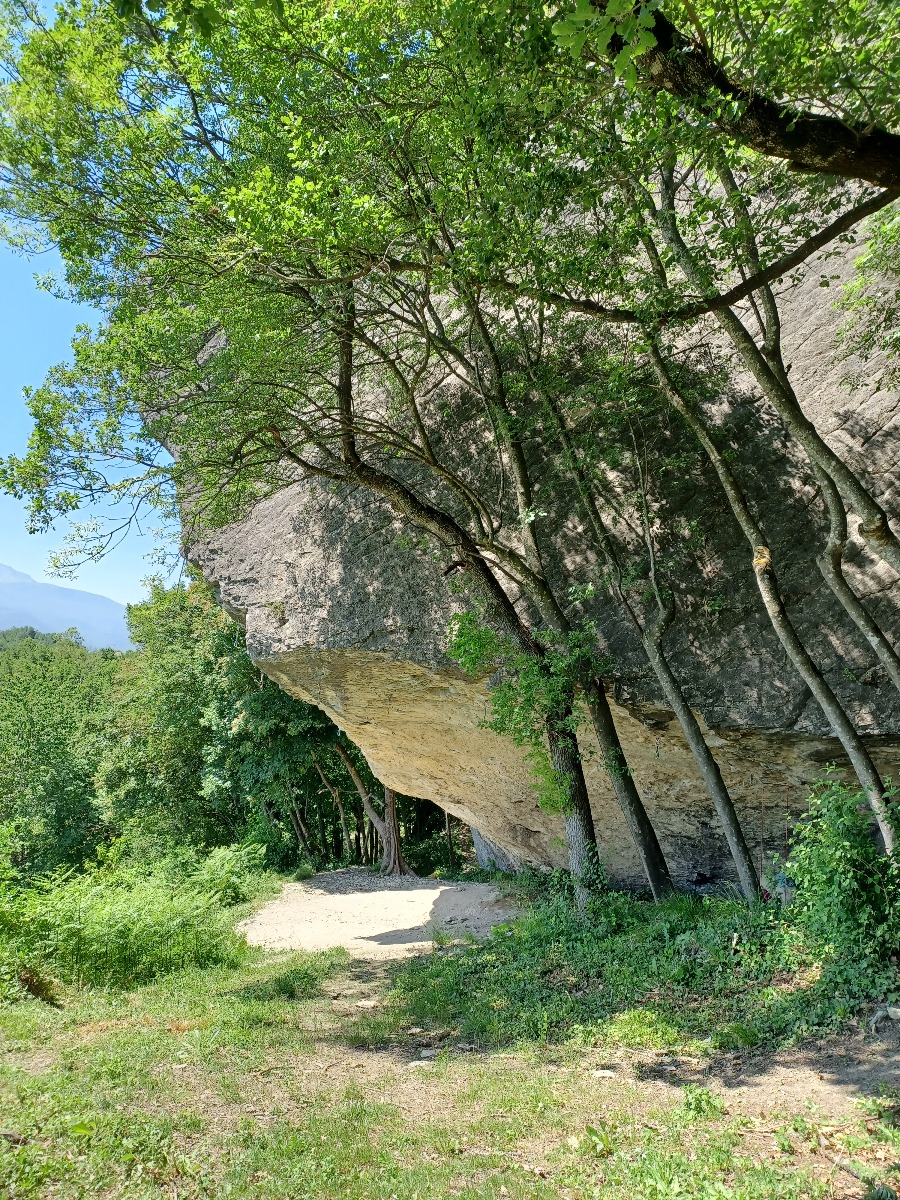 Pietra di Bismantovaの木々と小道のそばにあるオーバーハングした岩