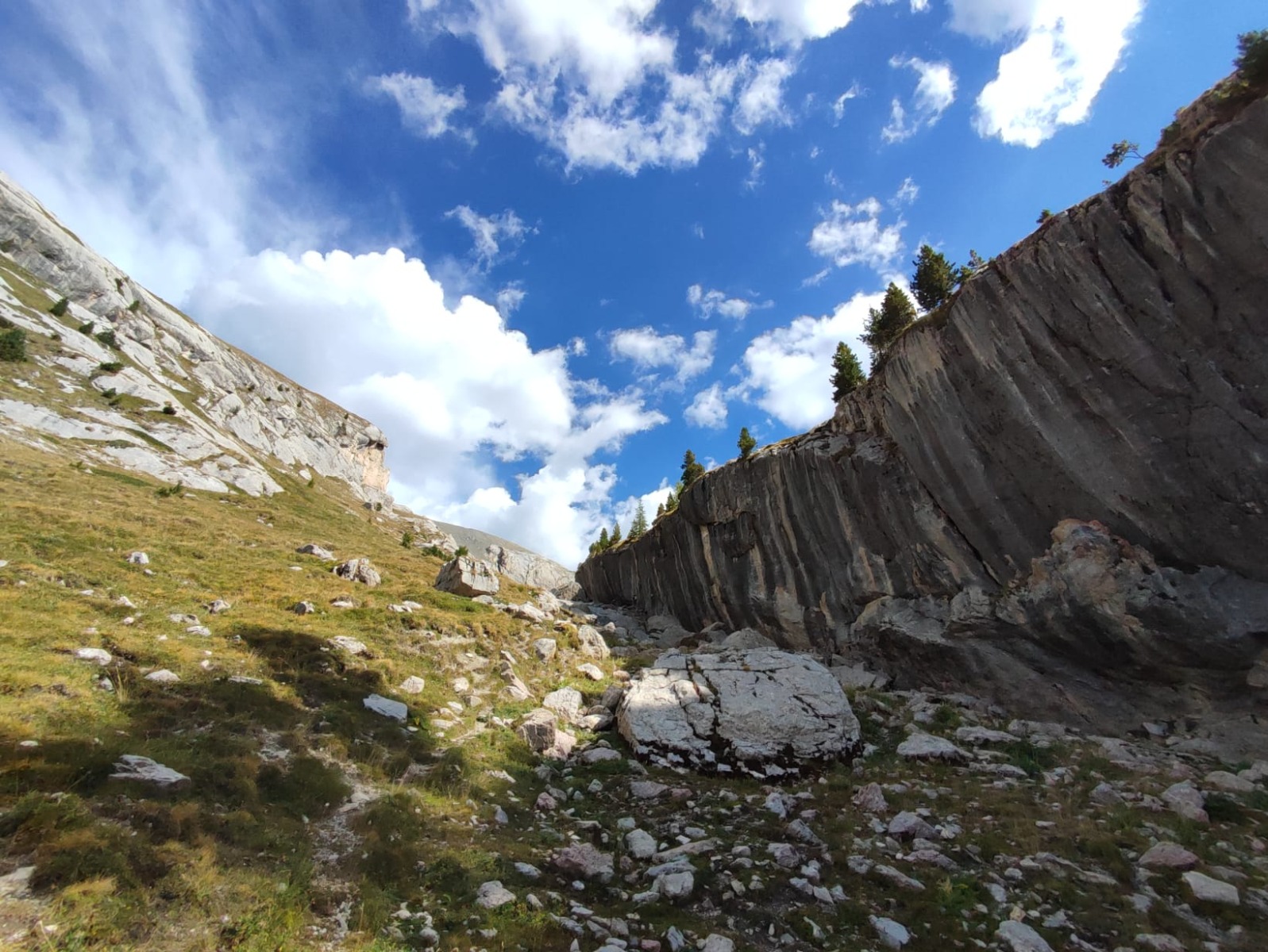 牧草地と木々のある山の風景にそびえるLa Saumeの石灰岩壁