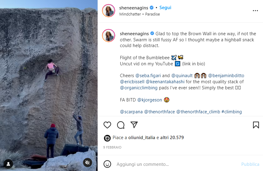 Flight of the BumblebeeについてのNina WilliamsのInstagram投稿の画面。壁の高い位置にいる選手とクラッシュパッドの上にいる2人