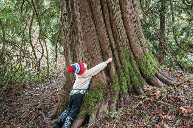 森の中で、色鮮やかな帽子をかぶって大きな木の幹を抱きしめる子ども