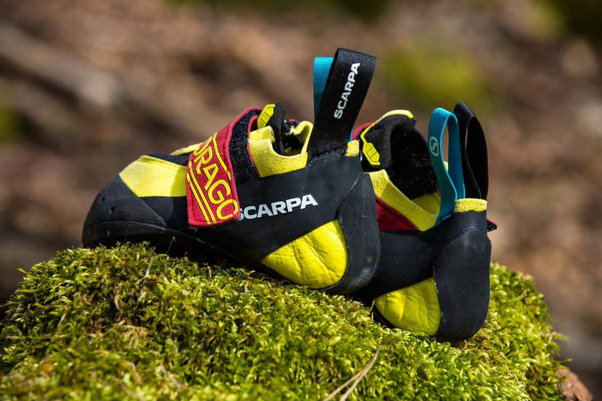 苔の上に置かれた、黒と黄色のSCARPAのクライミングシューズ