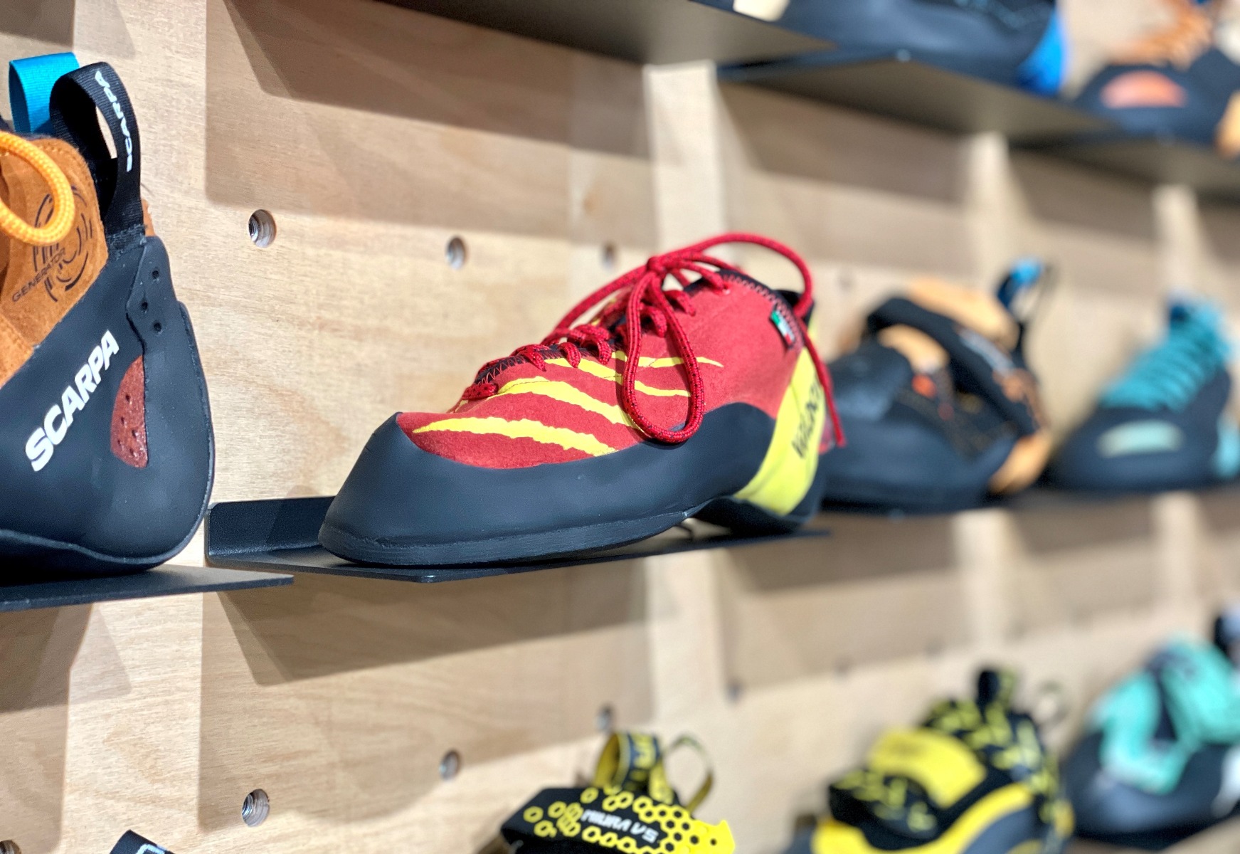 Wild Climb Panteraのクライミングシューズ