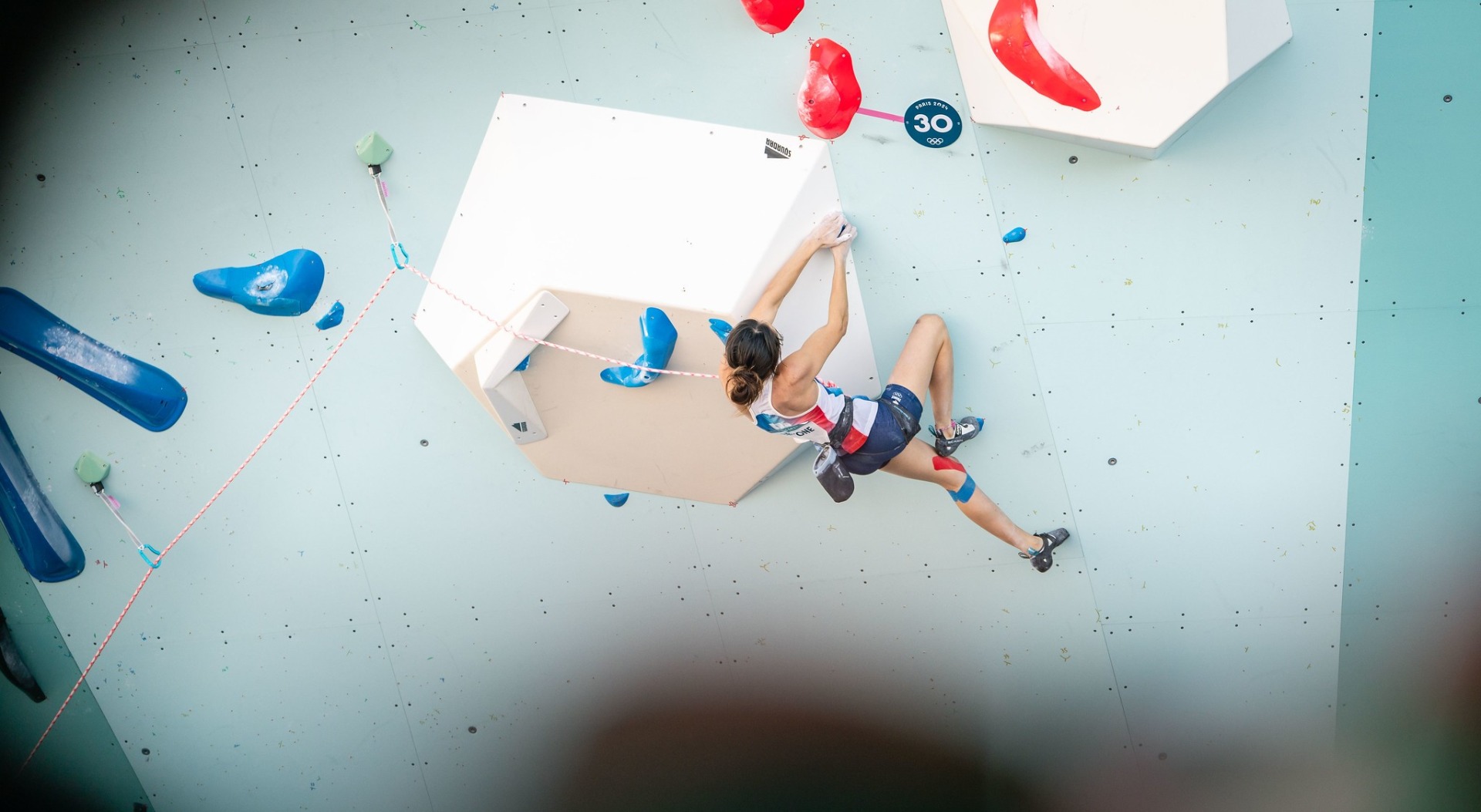 Drapella / Virt / IFSC