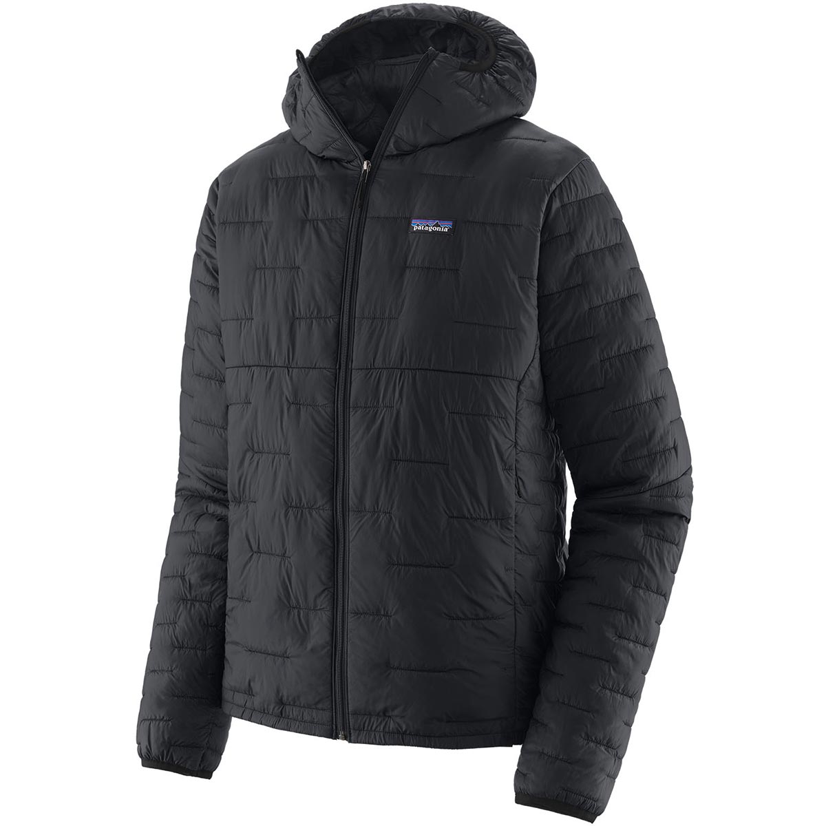 に*し様 極美品 希少 Patagonia mars Micro Puff Pa GSMF22_84031_BLK_1.jpg