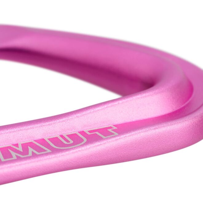 Mammut Workhorse Keylock 6-Pack Quickdraws クイックドロー 6個セット