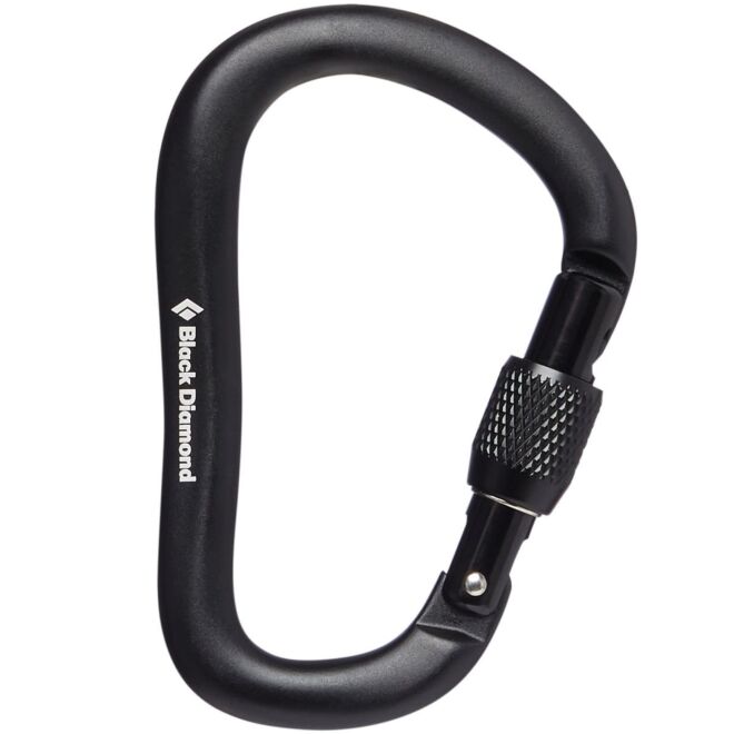 BD Black Diamond Rocklock Screwgate クライミング用スクリューゲートカラビナ