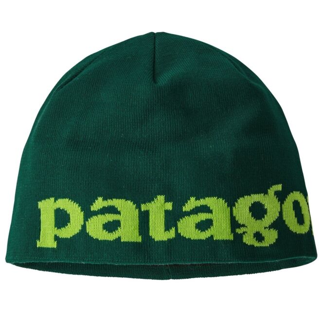 Patagonia Beanie Hat ビーニー帽