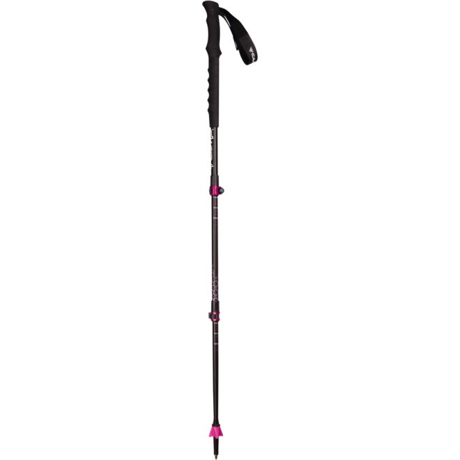 CAMP Backcountry GT W テレスコピックポール