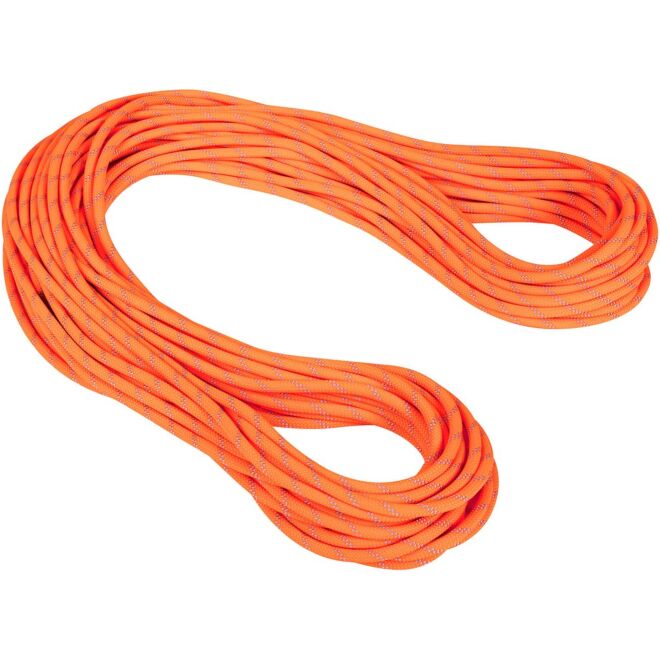 Mammut 9.5 Alpine Dry Rope クライミングロープ