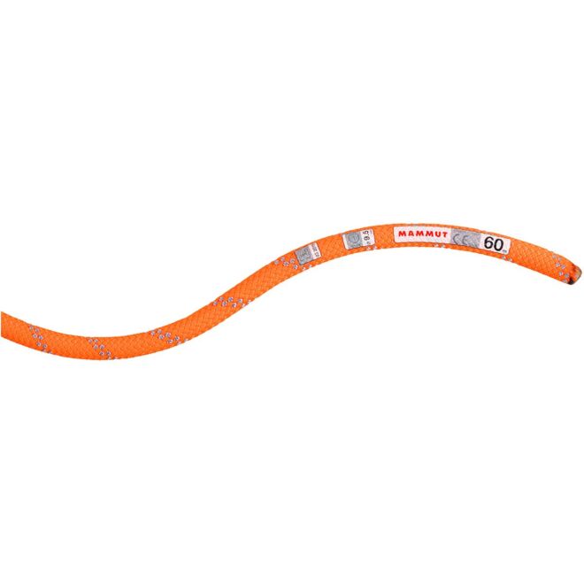 Mammut 9.5 Alpine Dry Rope クライミングロープ