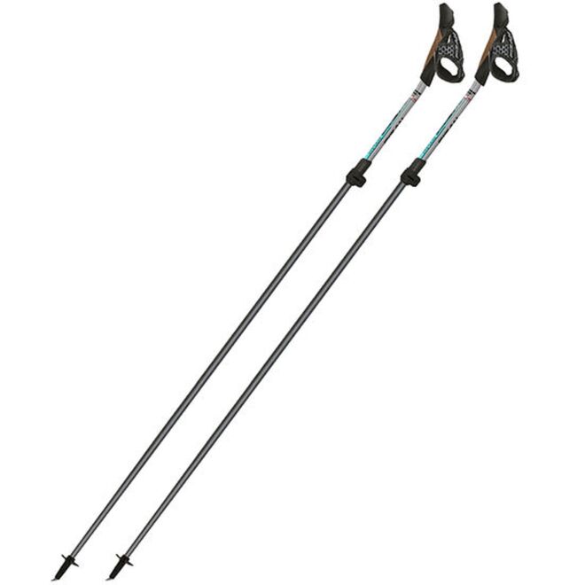 Fizan Carbon Pro Impulse ノルディックウォーキングポール