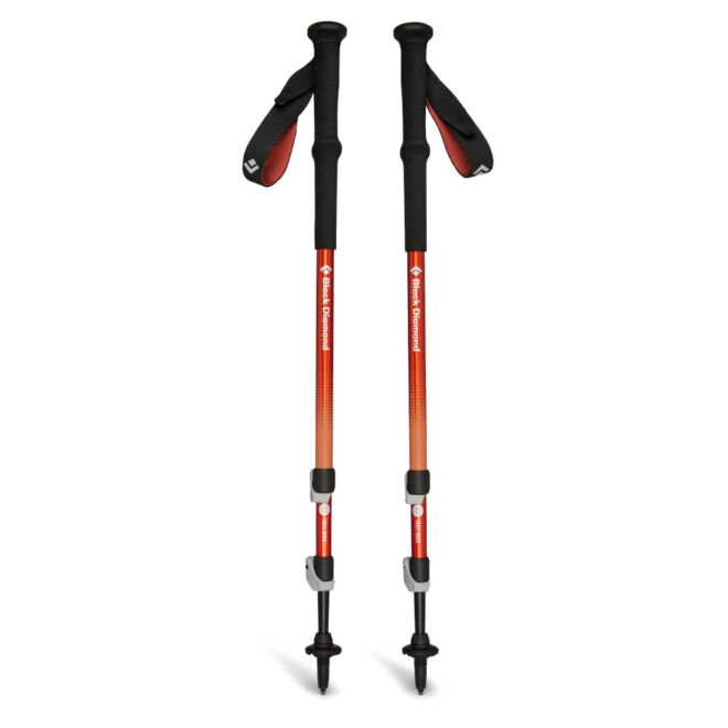 BD Black Diamond Trail Back トレッキングポール