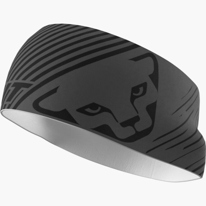 Dynafit Graphic Performance Headband ヘッドバンド