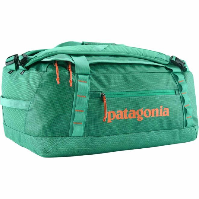Patagonia Black Hole Duffel 40 l 旅行用バックパック