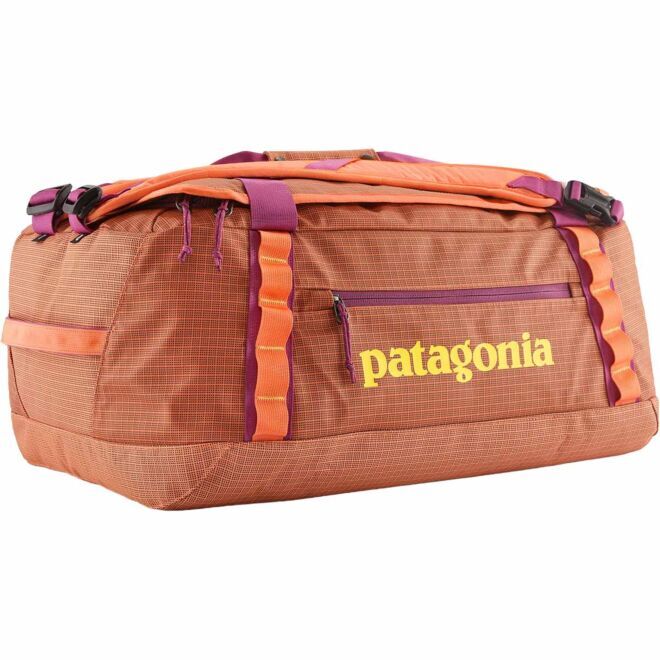 Patagonia Black Hole Duffel 40 l 旅行用バックパック