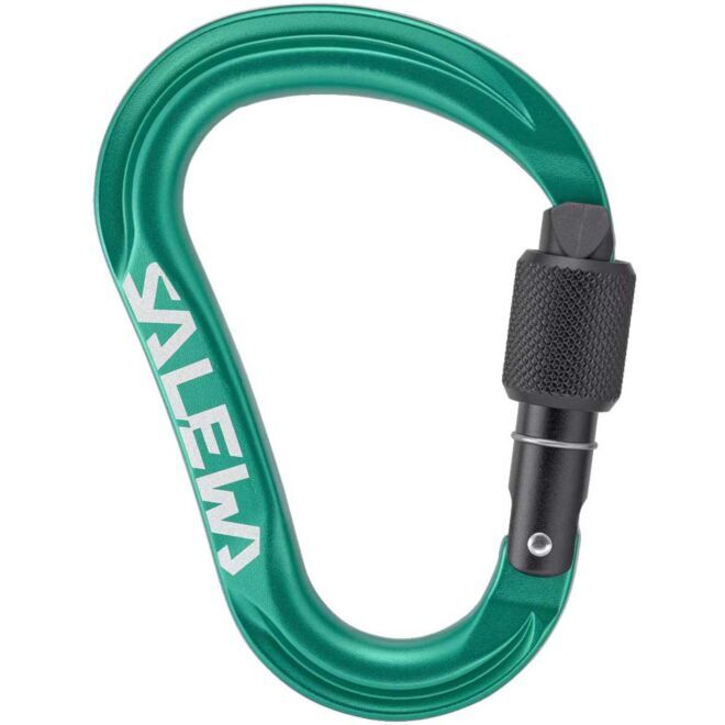 SALEWA Ortles HMS M クライミング用スクリューゲートカラビナ