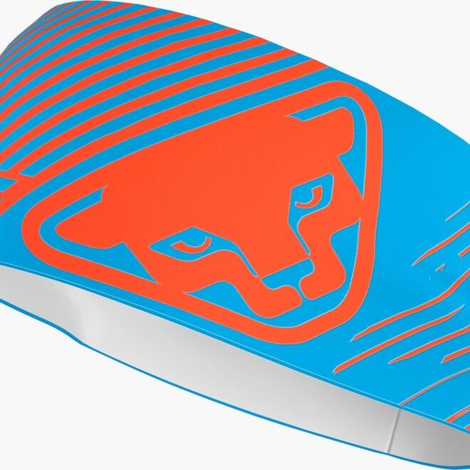 Dynafit Graphic Performance Headband ヘッドバンド