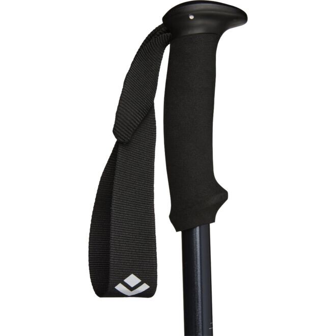 BD Black Diamond Explorer 2 トレッキングポール trekking poles