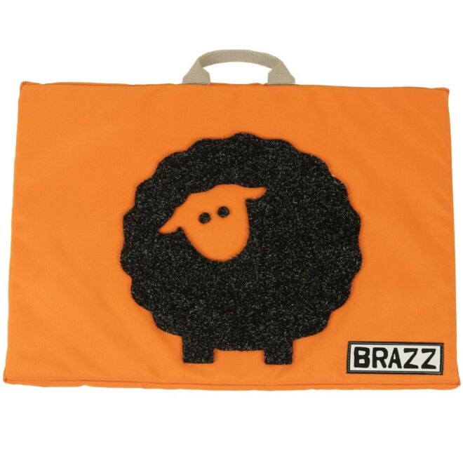 Brazz Dolly 2.0 BrazzStarter クラッシュパッド ボルダリング