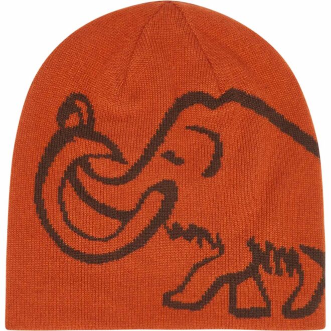 Mammut Mammut Logo Beanie Reversible ニットキャップ