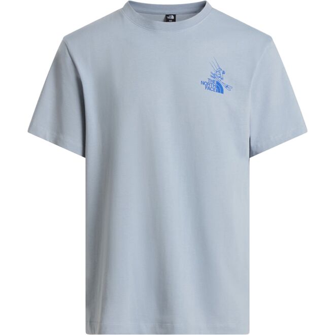 The North Face M Mountain Celebration Regular S/S Tee メンズ Tシャツ