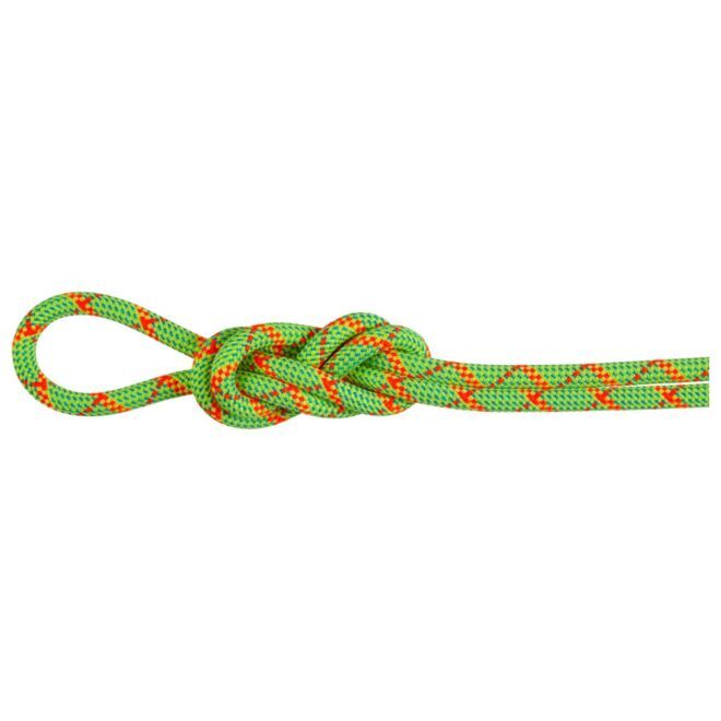 Mammut 8.0 Alpine Core Protect Dry クライミング用ハーフロープ