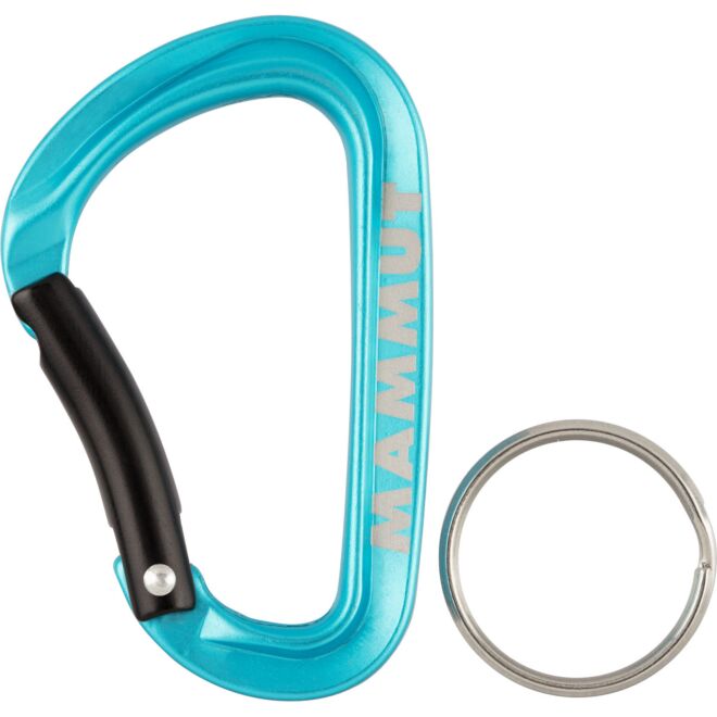 Mammut Mammut Mini Carabiner Classic Keylock S キーホルダー用カラビナ