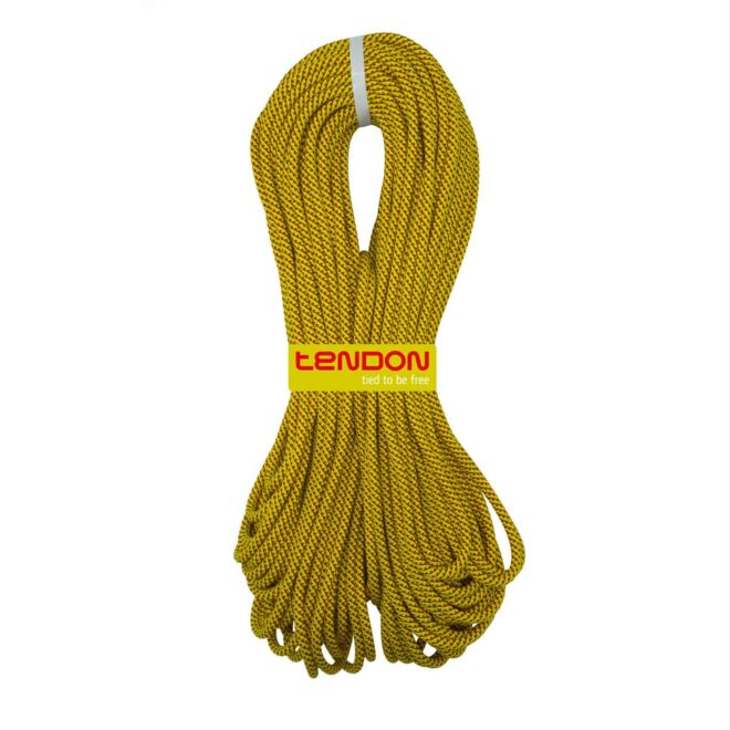 Tendon Ambition 8.2 mm Complete Shield 半分ロープ クライミング