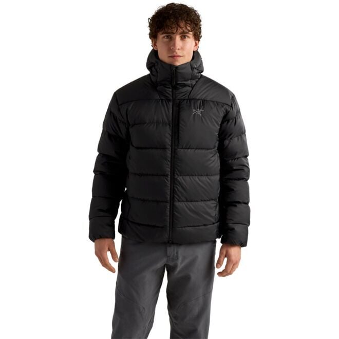 Arc'teryx Thorium Hoody M メンズダウンジャケット