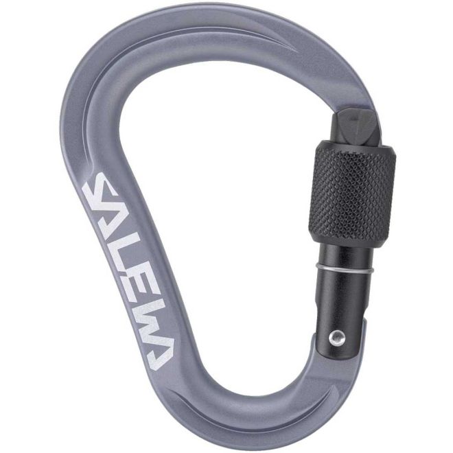 SALEWA Ortles HMS S クライミング用スクリューゲートカラビナ