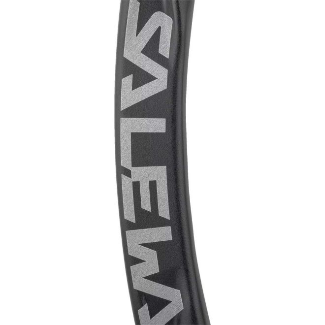 SALEWA Ortles Straight Carabiner クライミングカラビナ