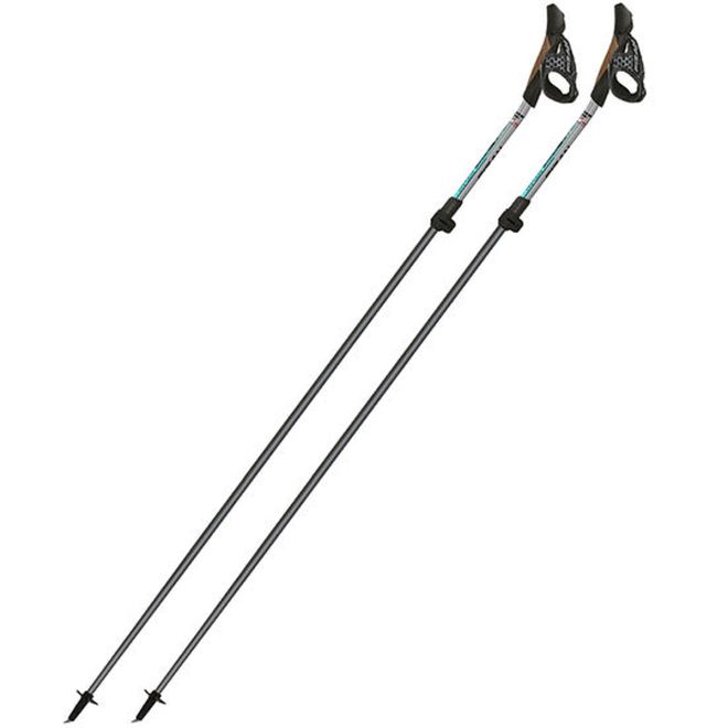 Fizan Carbon Pro Impulse ノルディックウォーキングポール
