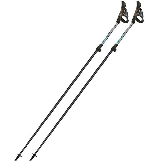 Fizan Tekno Impulse nordic walking poles