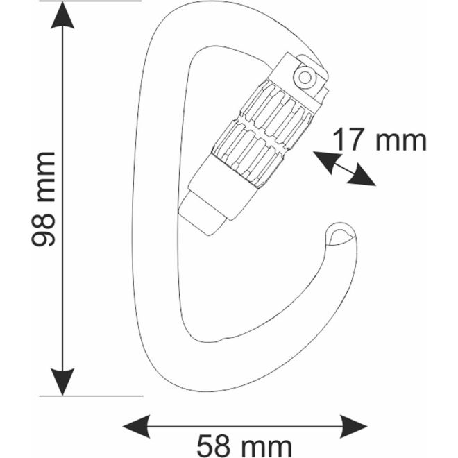 CAMP Orbit 2Lock クライミングカラビナ