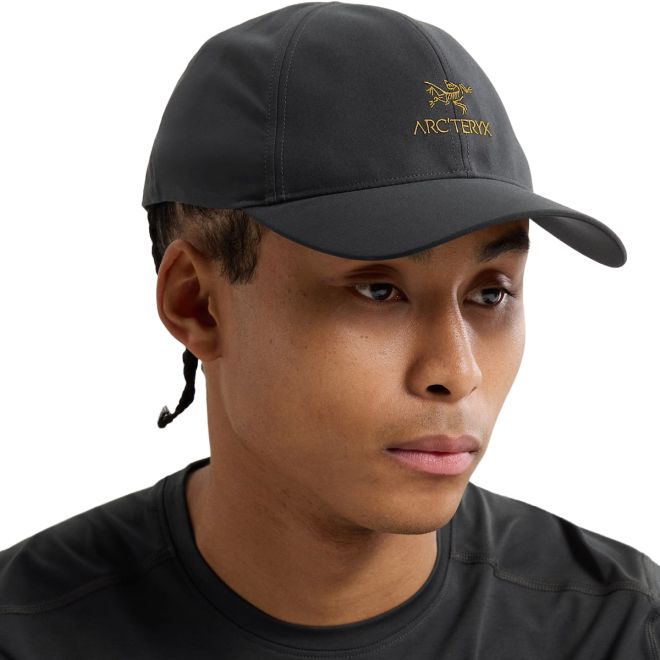 Arc'teryx Bird Word キャップ