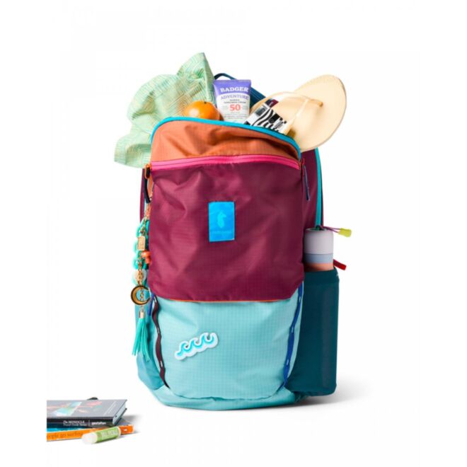 Cotopaxi Allpa 26L Daypack - Del Día 旅行用バックパック
