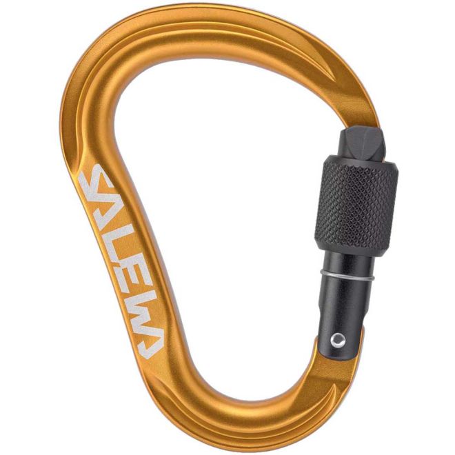 SALEWA Ortles HMS M クライミング用スクリューゲートカラビナ