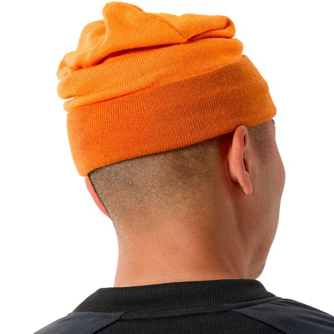 Arc'teryx Colour Block Toque ニットキャップ