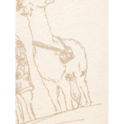 Chillaz Iseo Alpaca Gang レディース Tシャツ