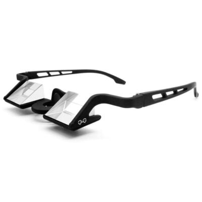 YY Vertical Belay Glasses Plasfun Evo ビレイ用プリズマティックメガネ