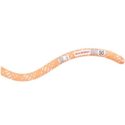 Mammut 10.1 Gym Station Classic Rope クライミングロープ