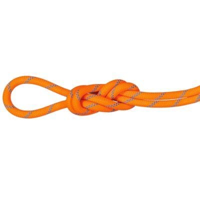 Mammut 8.7 Alpine Sender Dry Rope クライミングロープ