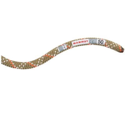 Mammut 9.5 Gym Classic Rope クライミングロープ
