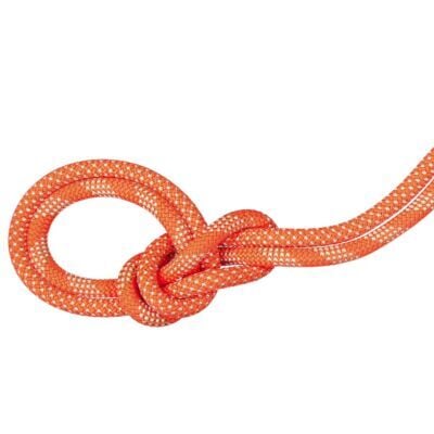 Mammut 9.8 Crag Classic Rope Duodess クライミングロープ