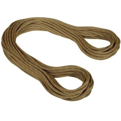 Mammut 9.9 Gym Workhorse Classic Rope クライミングロープ