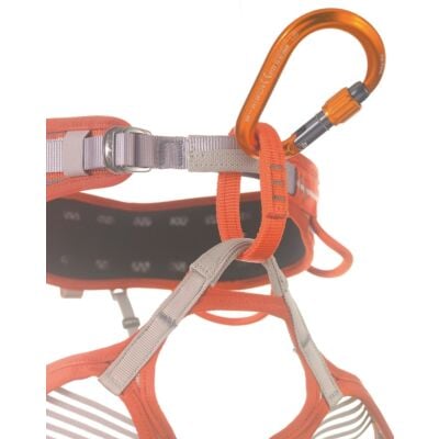 CAMP Core Lock クライミング用ロックカラビナ