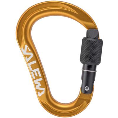 SALEWA Ortles HMS S クライミング用スクリューゲートカラビナ