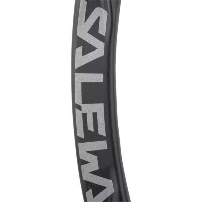 SALEWA Ortles Straight Carabiner クライミングカラビナ