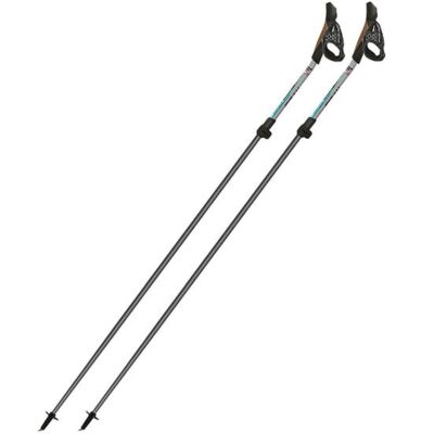 Fizan Carbon Pro Impulse ノルディックウォーキングポール