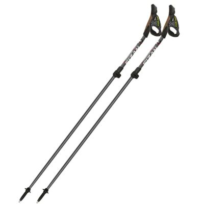 Fizan Tekno Impulse ノルディックウォーキングポール